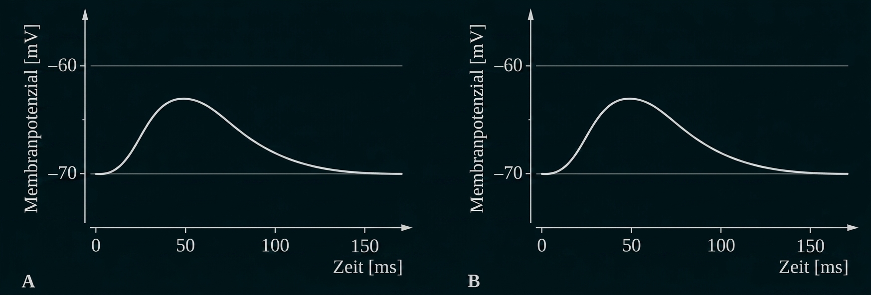 Grafik des Membranpotenzials über die Zeit in zwei Diagrammen (A und B)